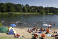 Forest swimming pool