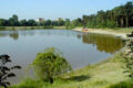 Forest swimming pool