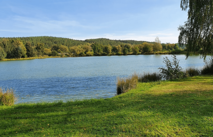 Baggersee Weiherhammer