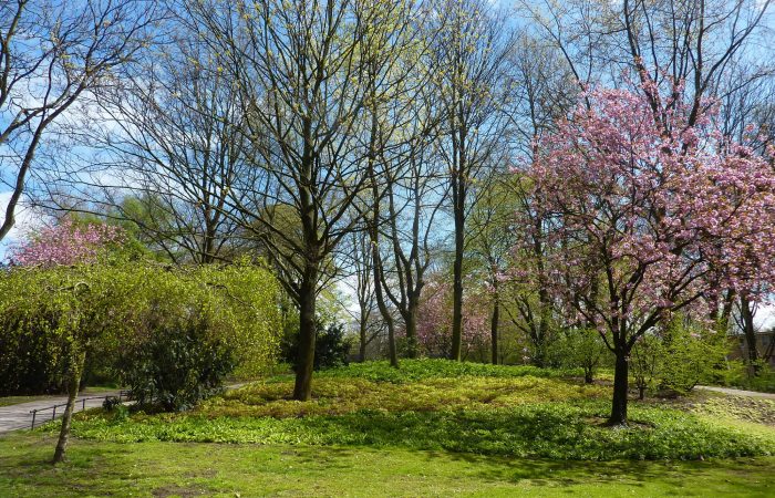 Böninger Park