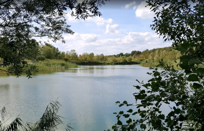 Langen forest lake