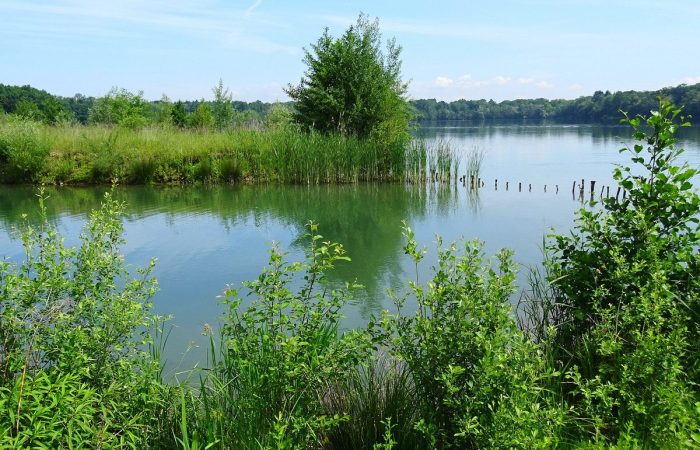 Lake Opfingen