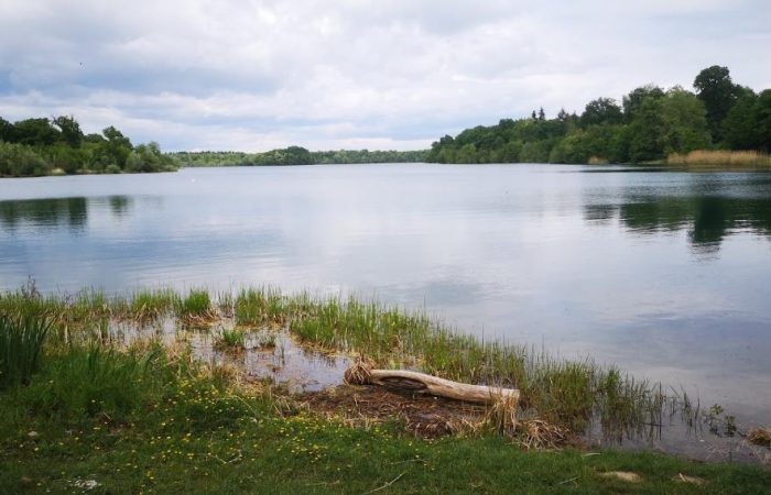 Lake Opfingen