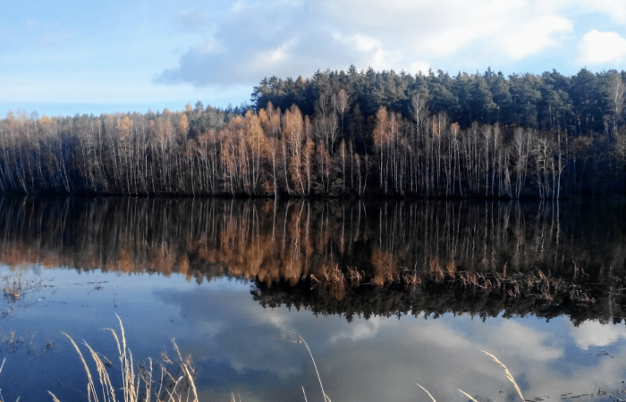 Speicher Schöna