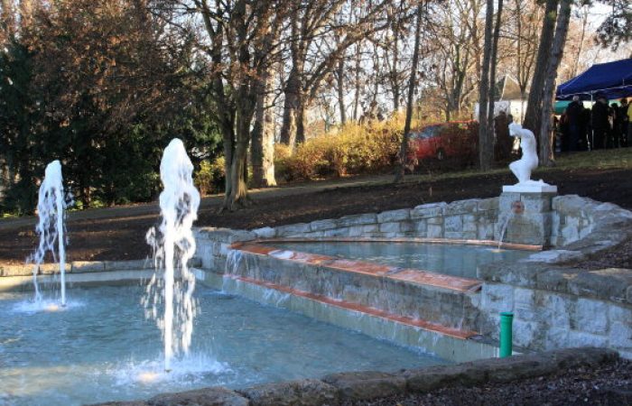 Stadtpark Erfurt