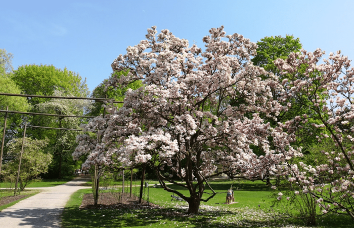 Stadtpark Regensburg