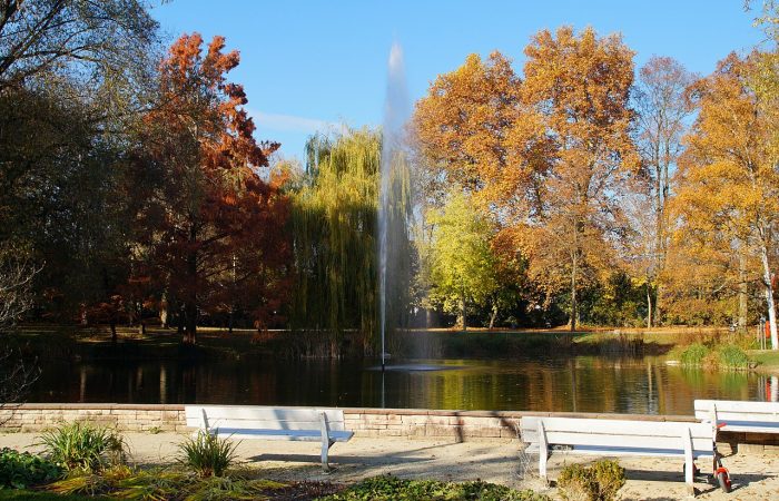 Stadtpark Regensburg