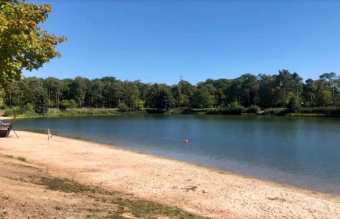 Piscina forestal