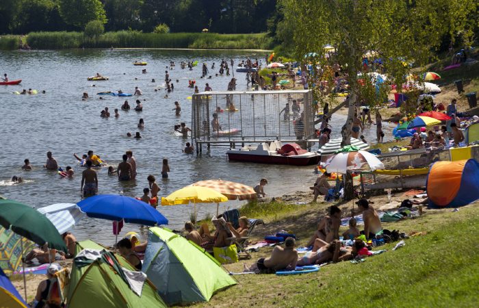 Forest swimming pool