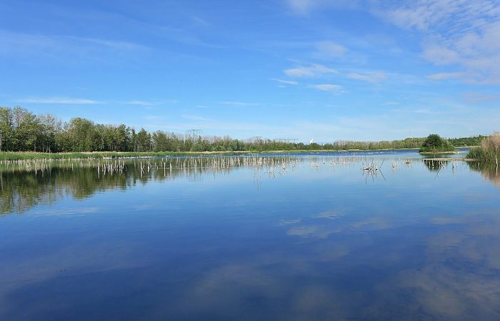 Werbener See